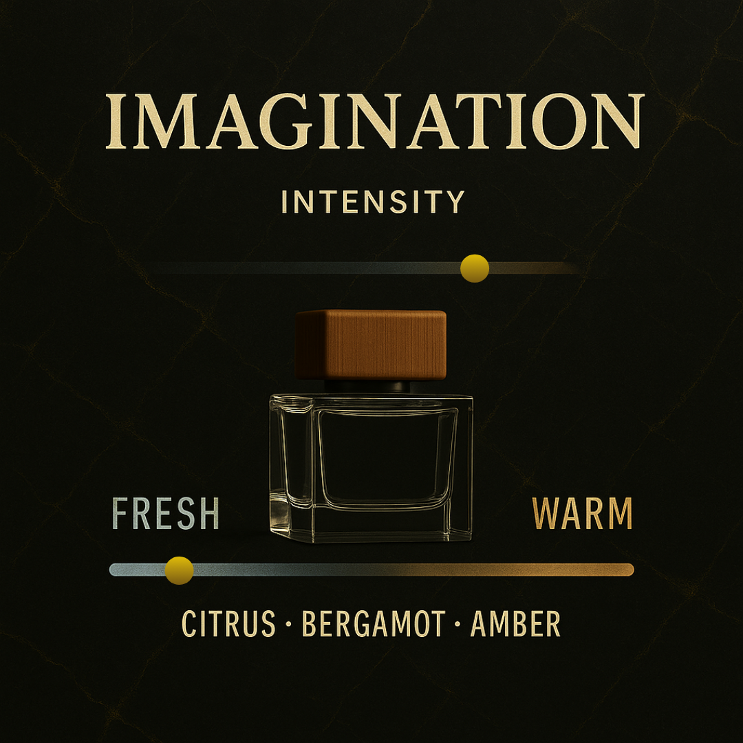 Imagination