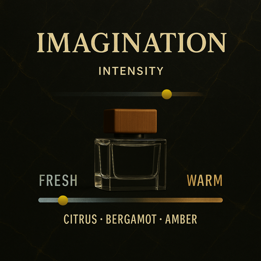 Imagination